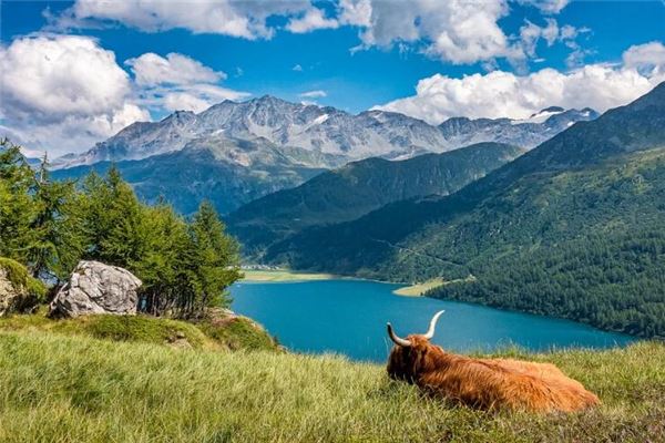 小孩起名:吳飲香